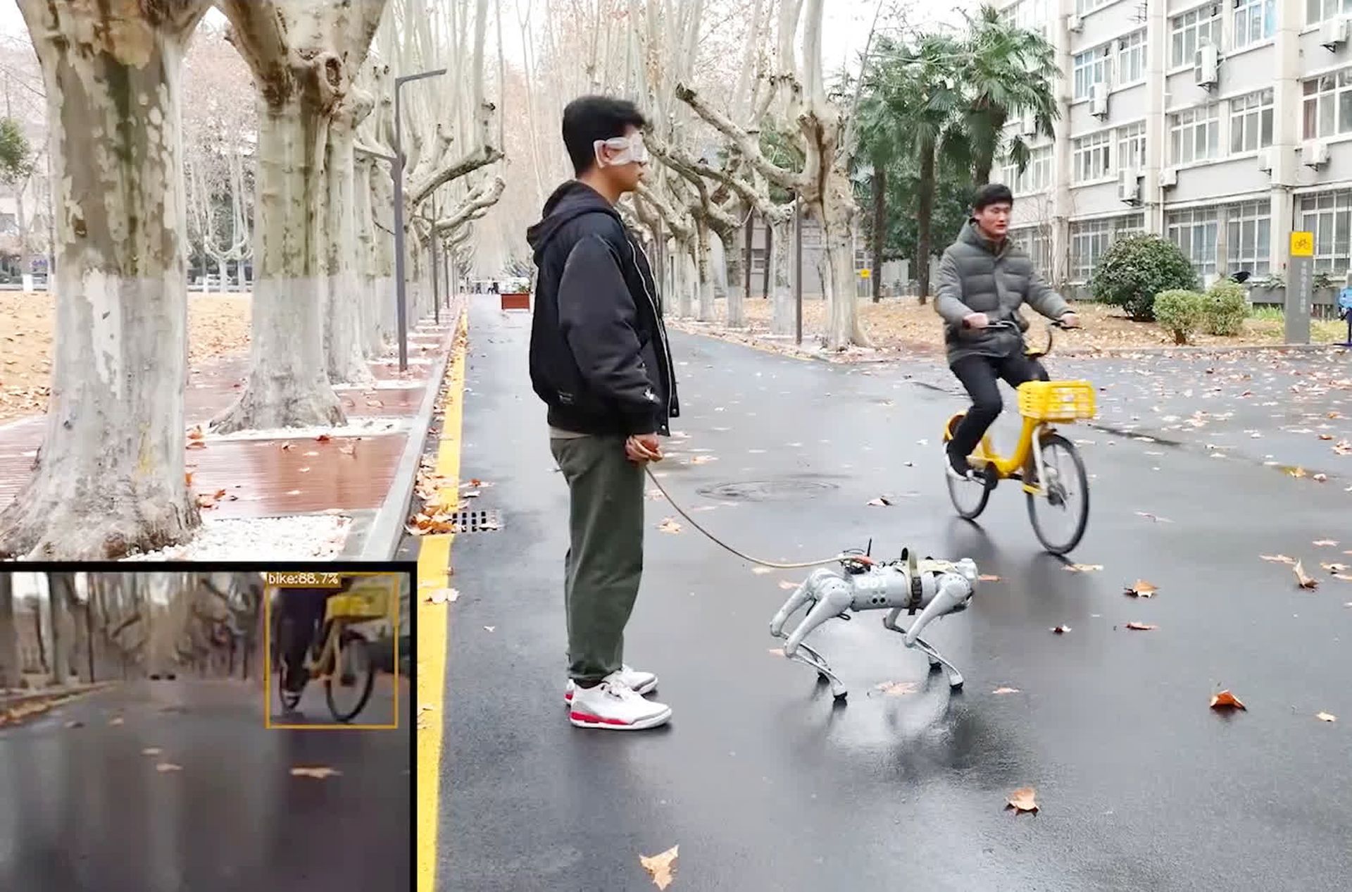 רובוטים עשויים לצאת בקרוב לרחובות בצורה חמודה