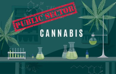 laboratorios de pruebas de cannabis administrados por el estado