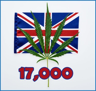 Schlagzeilen über medizinisches Marihuana in Großbritannien