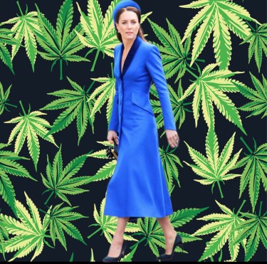 Кейт Миддлтон рак каннабис Рынок марихуаны Великобритании