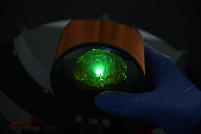 透明な脳ファントムを照らすワイヤレス給電電球