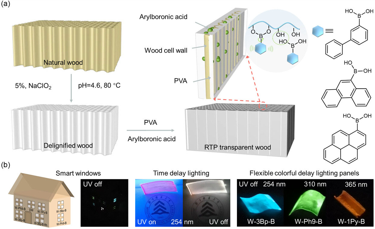 Schematische weergave van het transparante hout met fosforescentie op kamertemperatuur