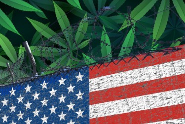 국경 순찰대 마리화나 정책
