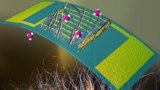 Sensor microbiano de nanocables