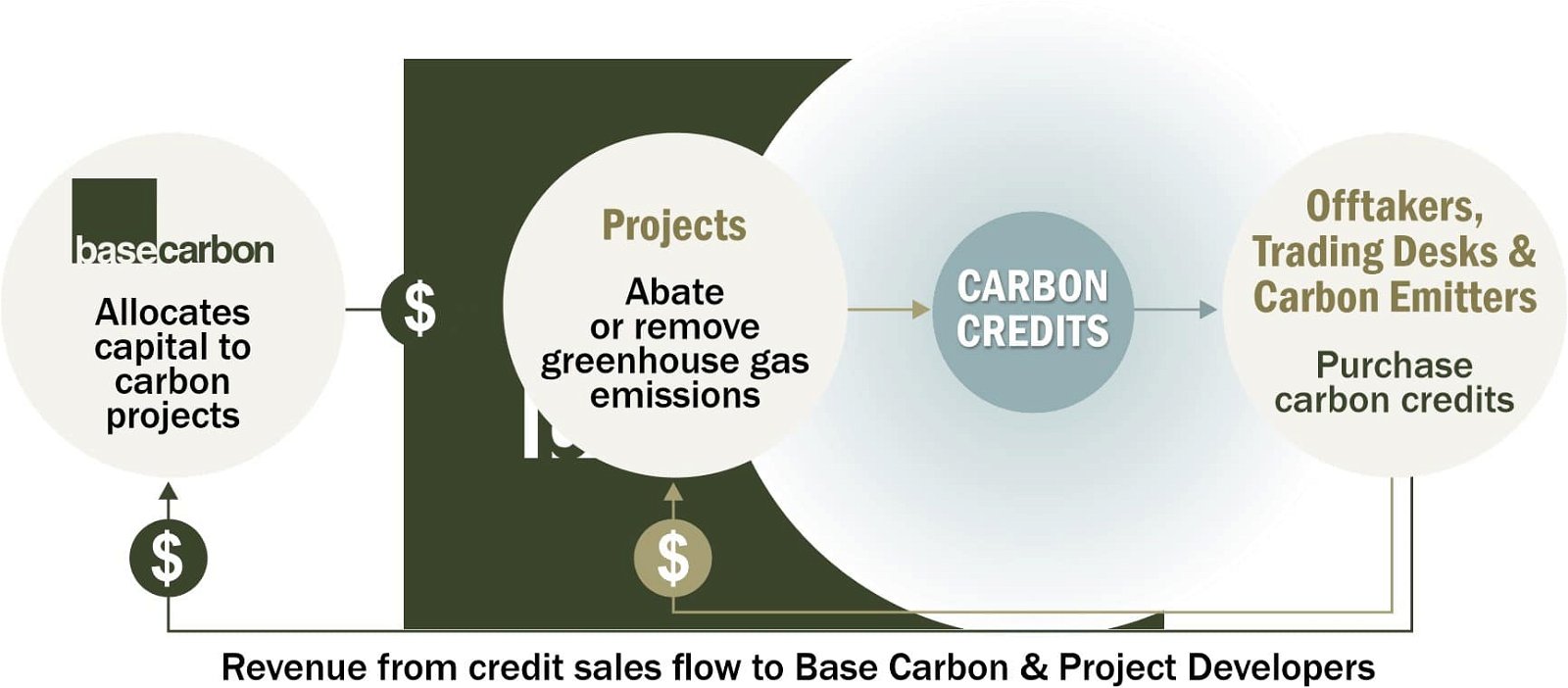 Modello di business Base Carbonio