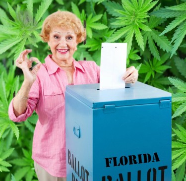フロリダ州、娯楽用大麻と中絶に関する投票