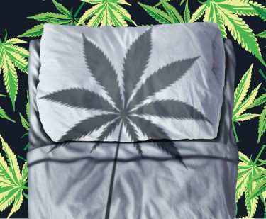 guía de cannabis para dormir