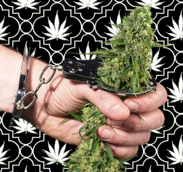 taux de consommation de marijuana légale et non légale