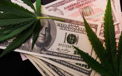 SAFER Banking Almost a Reality - The Fifth Cannabis Story Might Gone Unnoticed