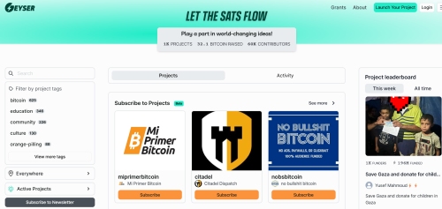 Sitio web de la plataforma de crowdfunding Geyser: innovación en crowdfunding con la red de Bitcoin
