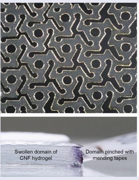 ハイドロゲルの切り紙パターン（上）と乾燥状態から膨潤したハイドロゲル（下）。