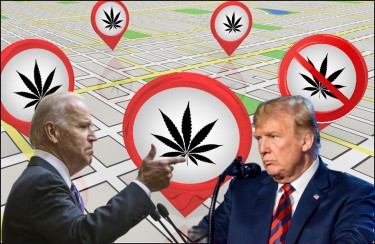Biden y Trump apoyan la marihuana recreativa
