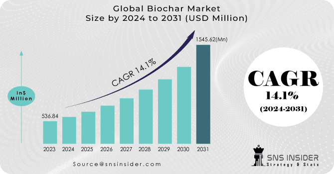 global biochar market size 2024-2031