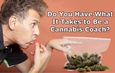 Was ist ein Cannabis-Trainer?