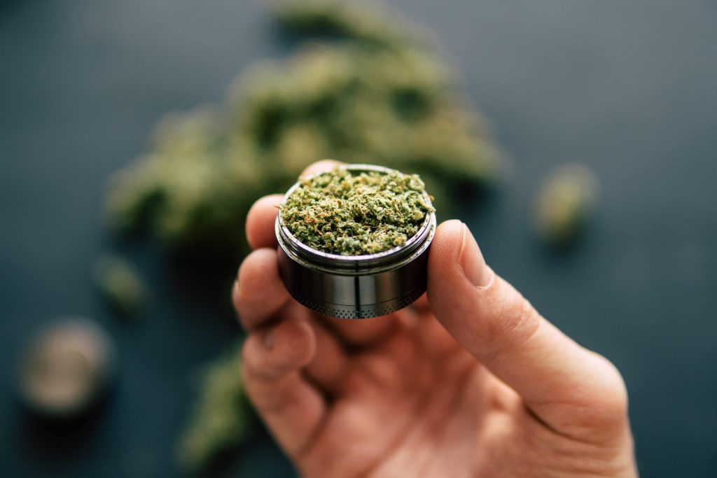A person holding grinded cannabis in a silver grinder