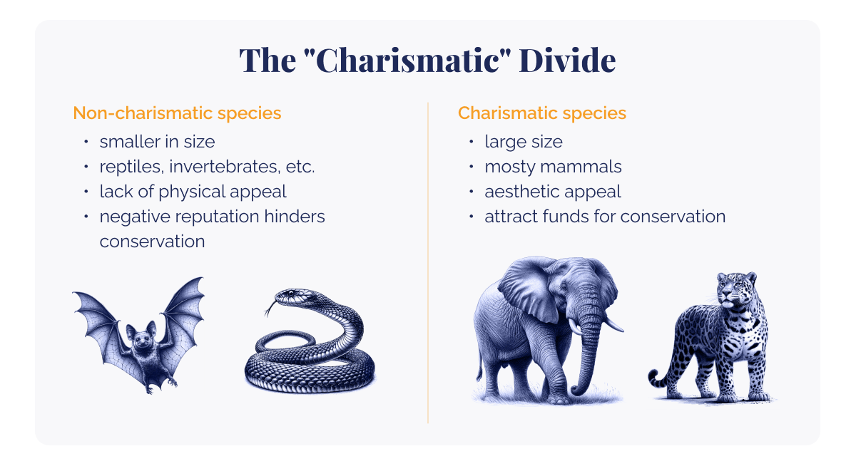 Las especies feas también necesitan protección de la biodiversidad_Ilustración que describe la división de los animales según sus características de apariencia_visual 2