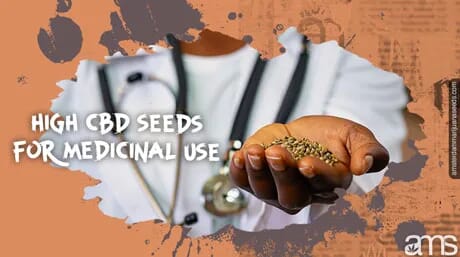 Understanding CBD and Its Potential Medical Applications