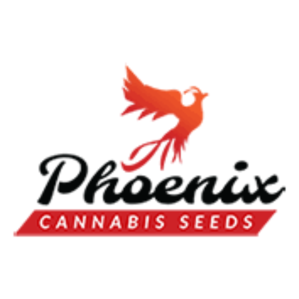 Semillas de cannabis Phoenix (publicación de Instagram) (7)