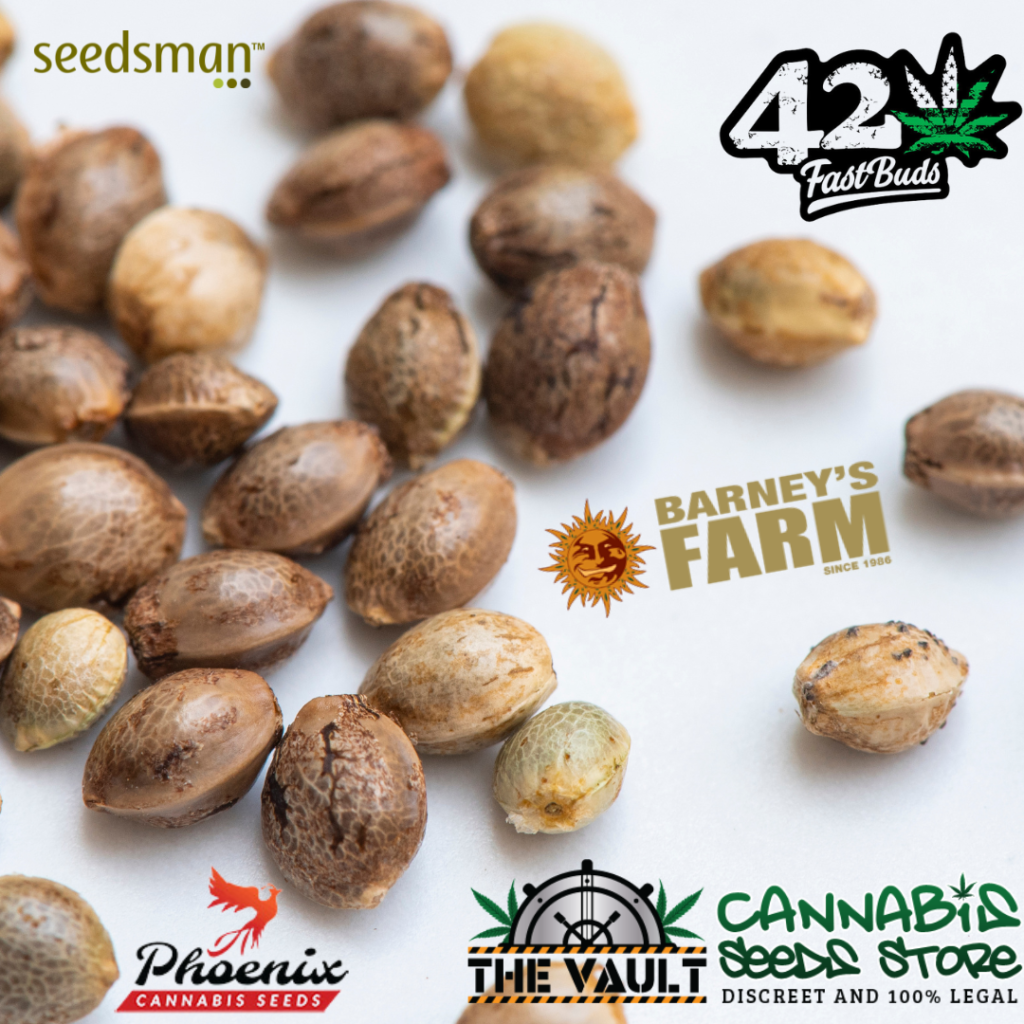Phoenix Cannabis Seeds (Instagram-postaus)