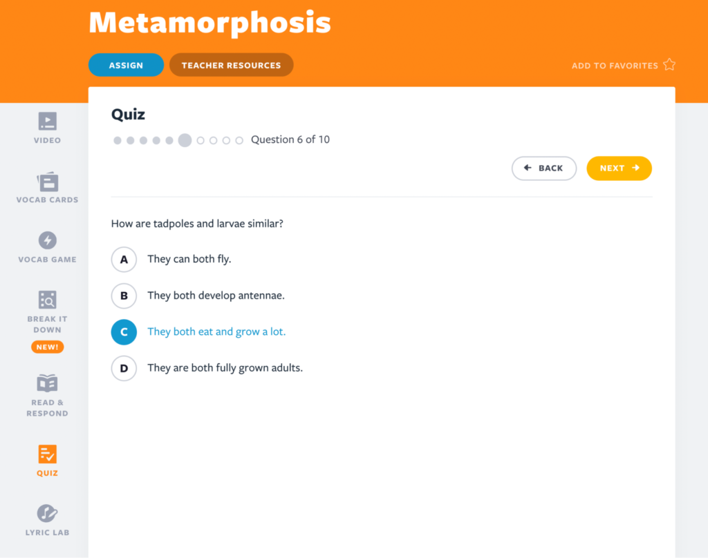 Metamorphosis Read & Respond