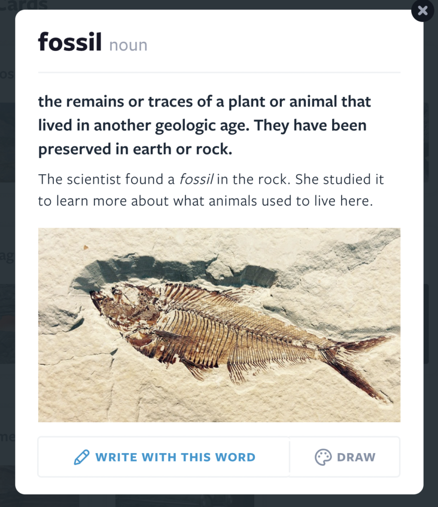 Fossil Vocab Card image