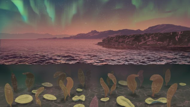 Artist's rendition of the Ediacaran period showing a shallow ocean containing large but still cell-like organisms, under skies bright with aurorae