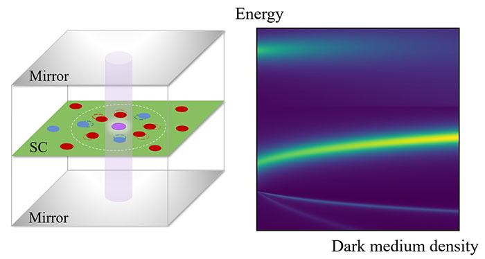 a 2D semiconductor between two mirrors, the polariton in purple, and the dark excitons in red or blue depending on spin
