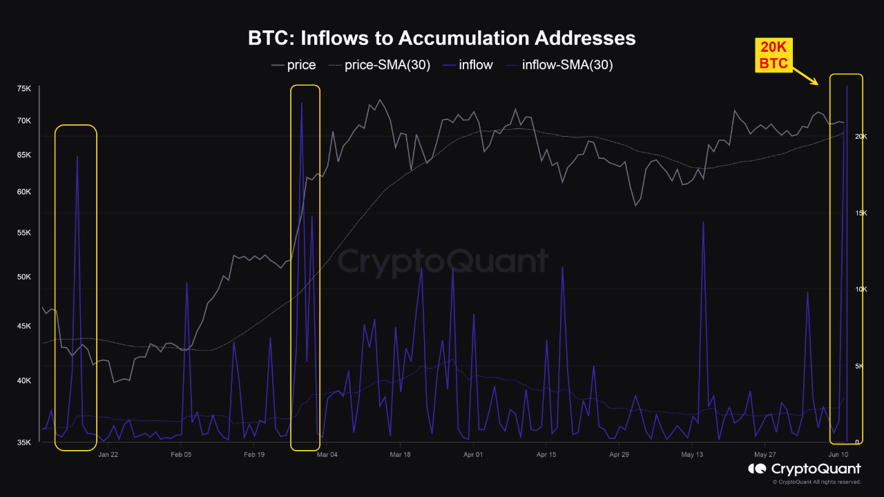 Bitcoin inflows to accumulation addresses. 
