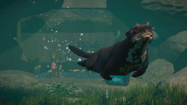 Planet Zoo Aquatic Pack review 1